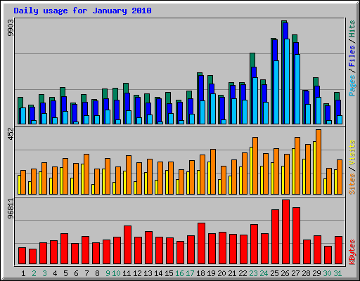 Daily usage for January 2010