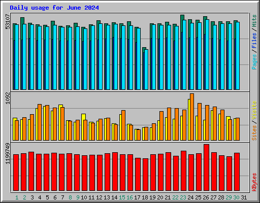 Daily usage for June 2024