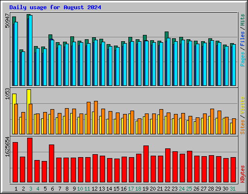 Daily usage for August 2024