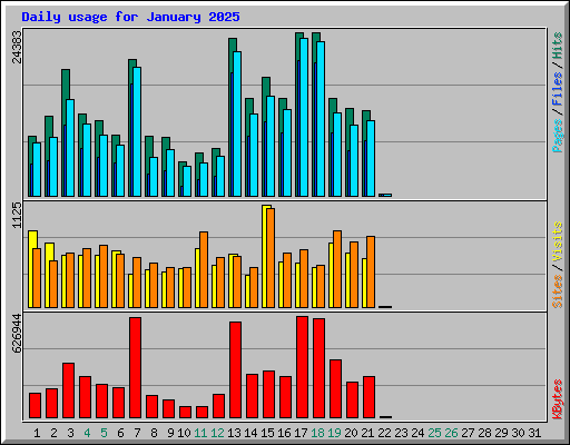 Daily usage for January 2025