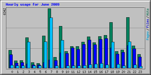 Hourly usage for June 2009