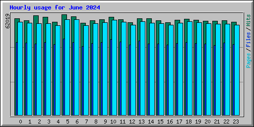 Hourly usage for June 2024