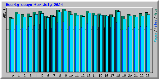 Hourly usage for July 2024