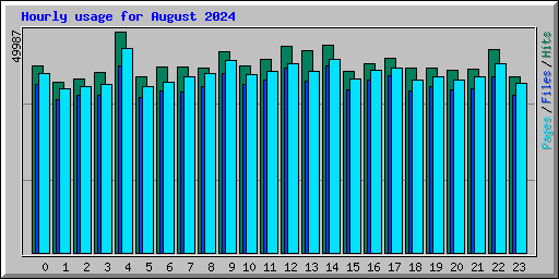 Hourly usage for August 2024