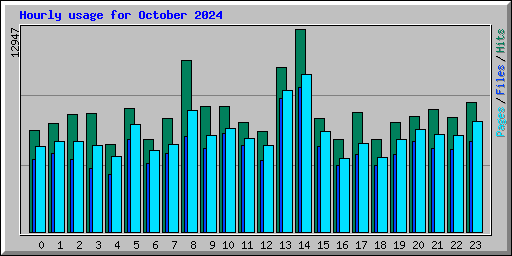 Hourly usage for October 2024