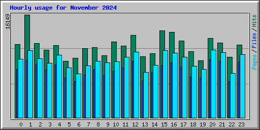 Hourly usage for November 2024