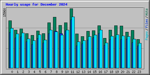 Hourly usage for December 2024