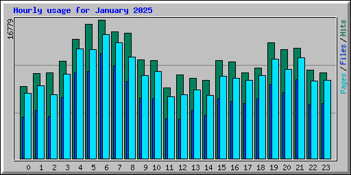 Hourly usage for January 2025