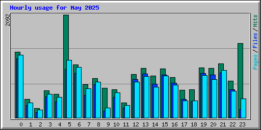 Hourly usage for May 2025