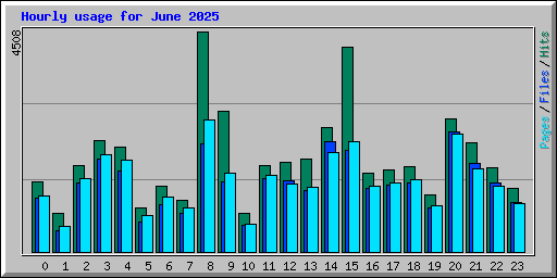 Hourly usage for June 2025