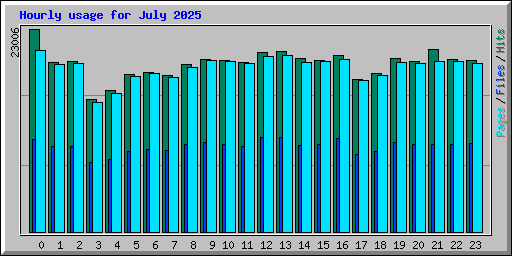 Hourly usage for July 2025