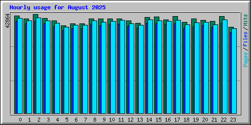 Hourly usage for August 2025
