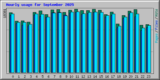 Hourly usage for September 2025