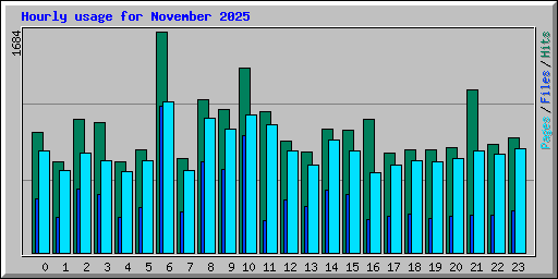 Hourly usage for November 2025