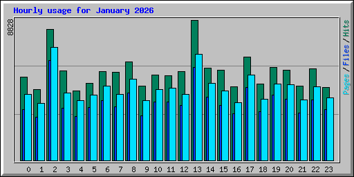 Hourly usage for January 2026