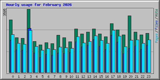 Hourly usage for February 2026