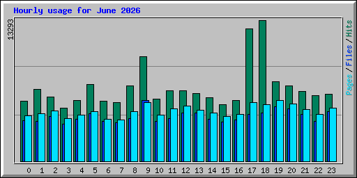 Hourly usage for June 2026